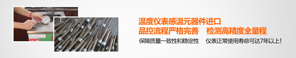溫度儀表感溫元器件進口、品控流程嚴格完善、檢測高精度全量程